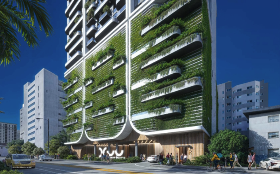 Domus House of Wellness